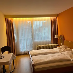 Schwan , Hügelsheim Alemania